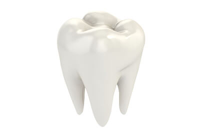 岐阜市則武・おやざと歯科・審美歯科